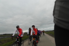 SAM_0598