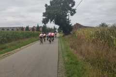 53