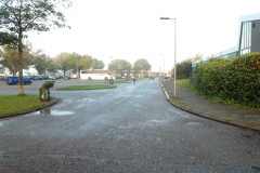 SAM_0867